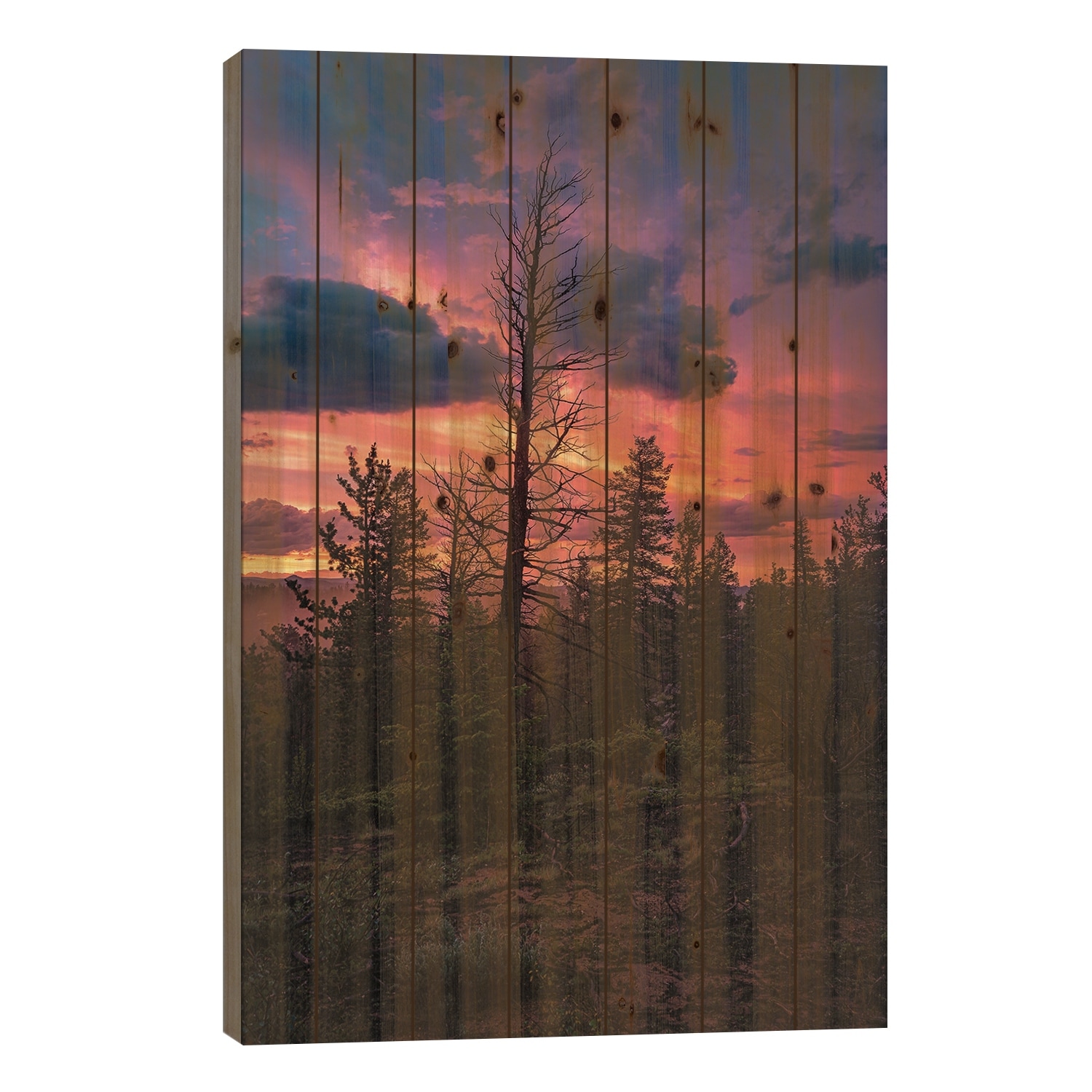 Forest Sunset Print On Wood by Christopher Thomas - Multi-Color