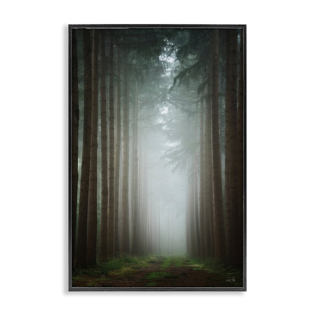Stupell Moonlight Through Dark Forest Framed Giclee Art Design By Martin Podt