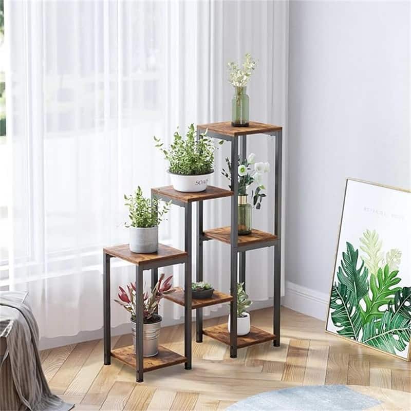 baby birkin philodendron Philodendron Birken – In Succulent Love