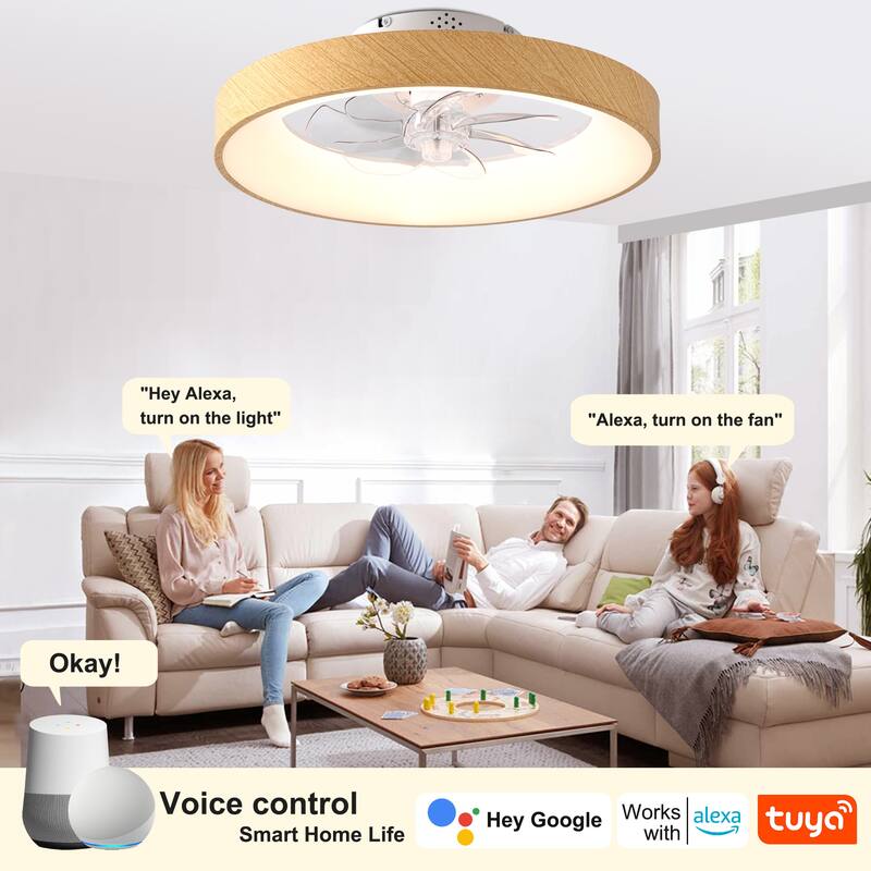 Cusp Barn 20" Modern RGB Ceiling Fans with Light, Low Profile Flush Mount Smart Ceiling Fan with Alexa/Tuya APP/Voice Control