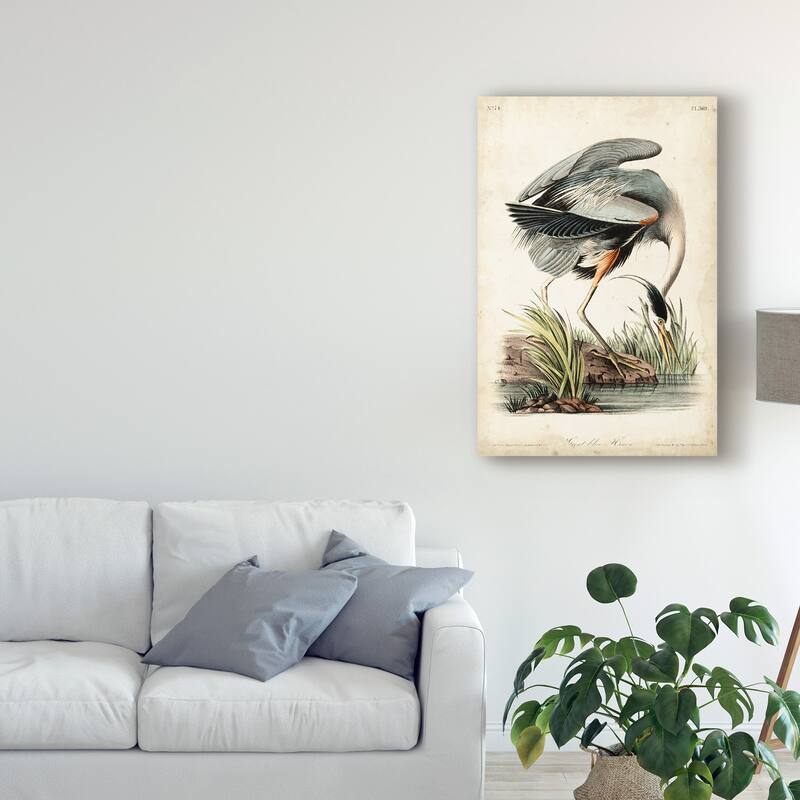 John James Audubon 'Blue Heron Portrait' Canvas Art