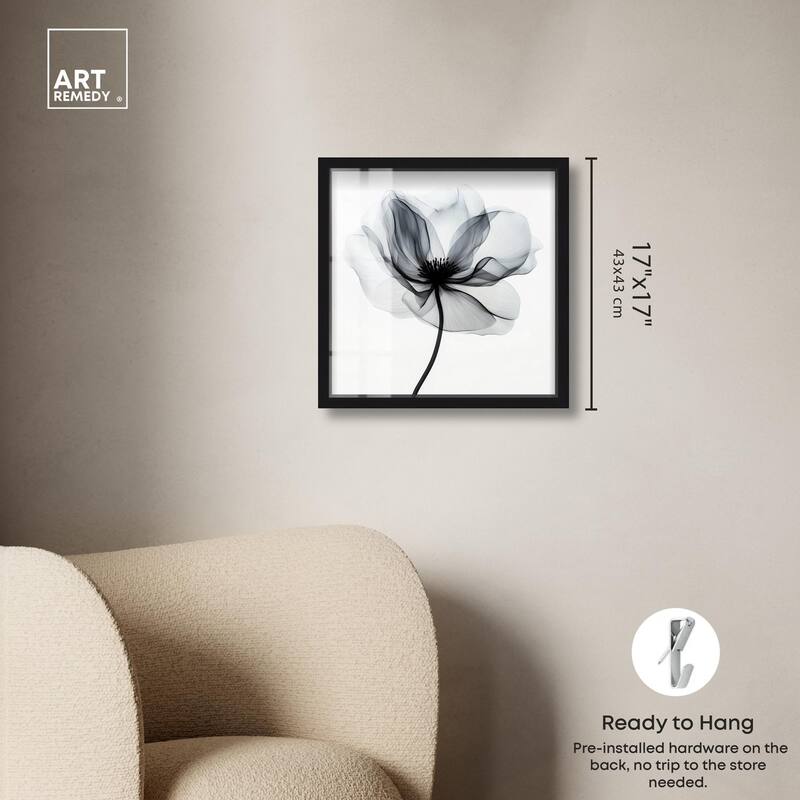 Midania I Shadowbox by Art Remedy