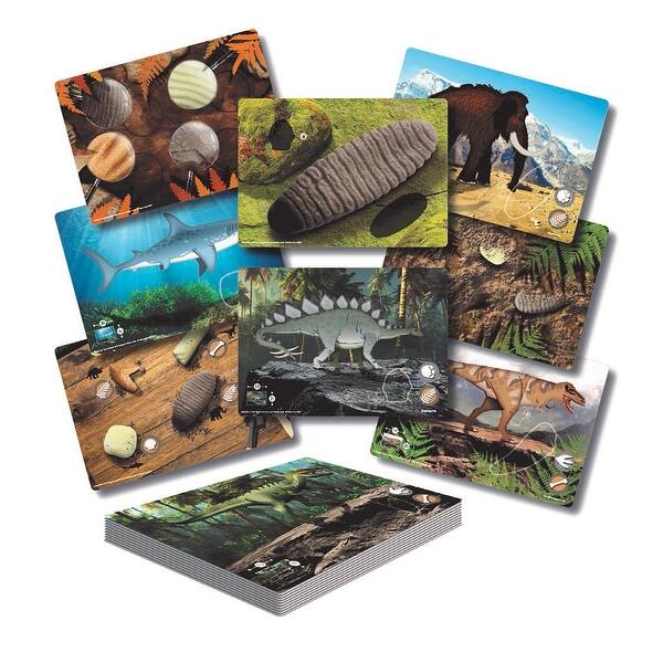 slide 2 of 5, Yellow Door Prehistoric Teeth Explore and Discover Activity Cards, Set of 16 - Assorted Assorted - Kids