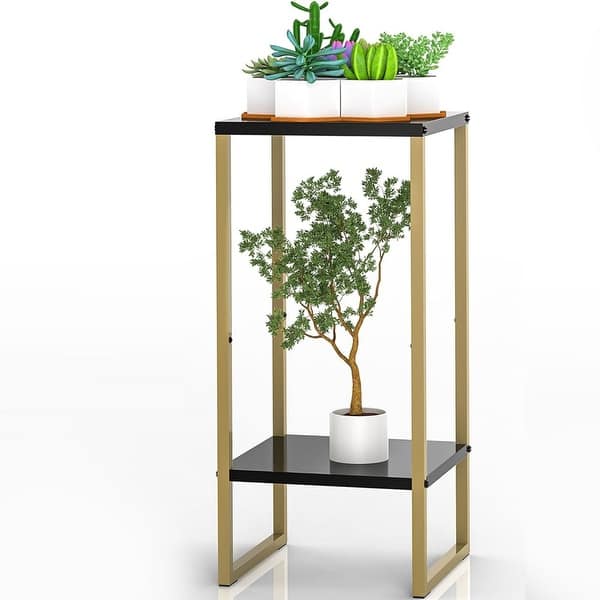 pothos in aquarium Neon' Pothos Rooted Stems or Pots  Glass Grown Aquatics