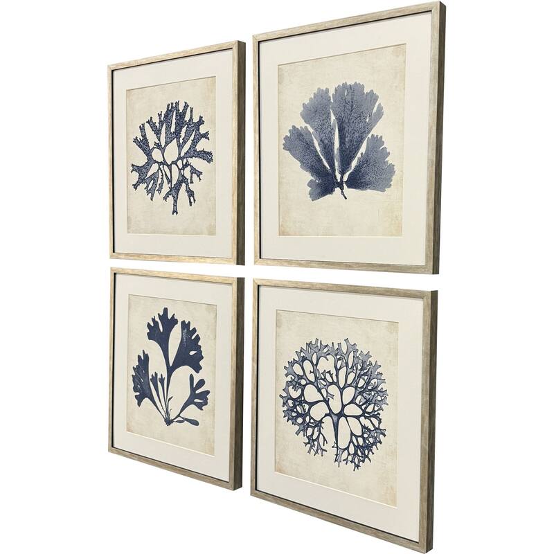 Paragon Indigo Sea Life Framed Art - Set of 4