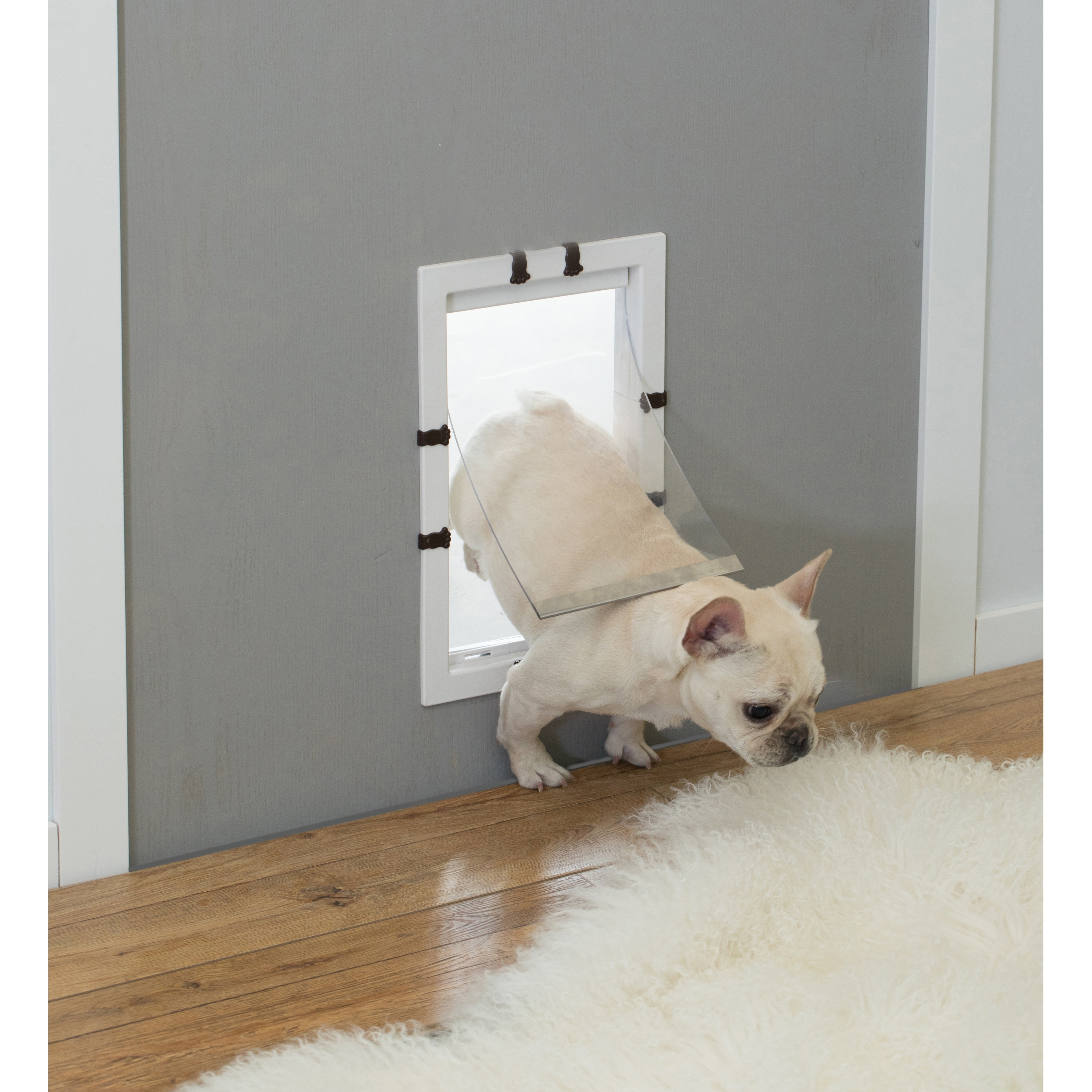 Plastic pet door online