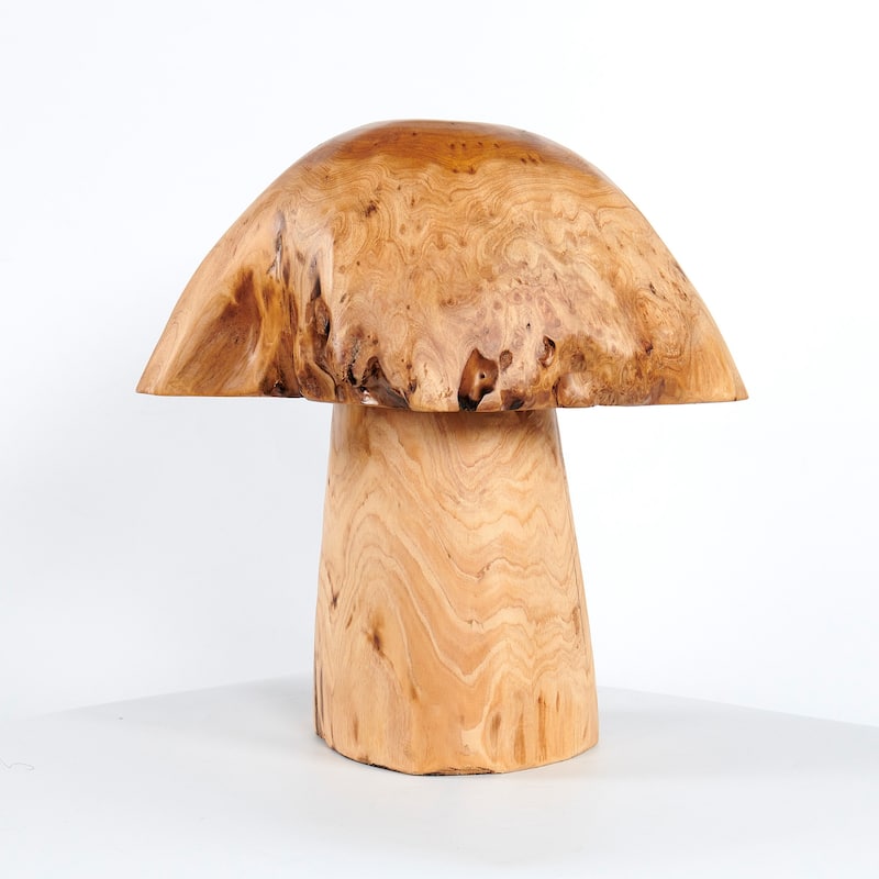 Greenage Cedar Roots Stump Mushroomn Natural Edge Side Table