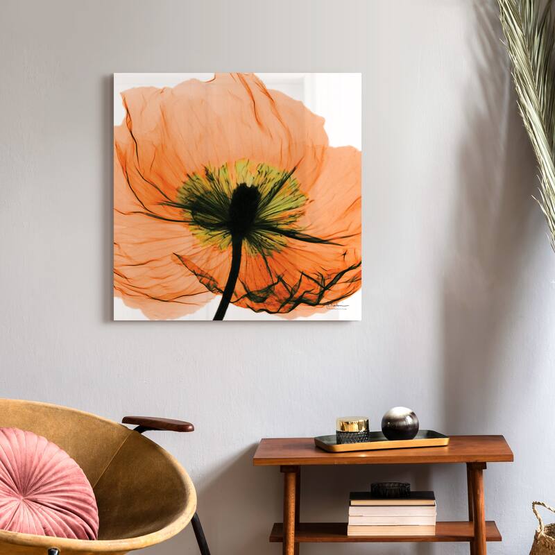 "Poppy Orange" Frameless Free Floating Tempered Glass Panel Graphic Wall Art