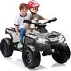 preview thumbnail 5 of 27, 2 Seater Ride On Car,24V Licensed Can-Am Electric ATV Car for Kids Gray