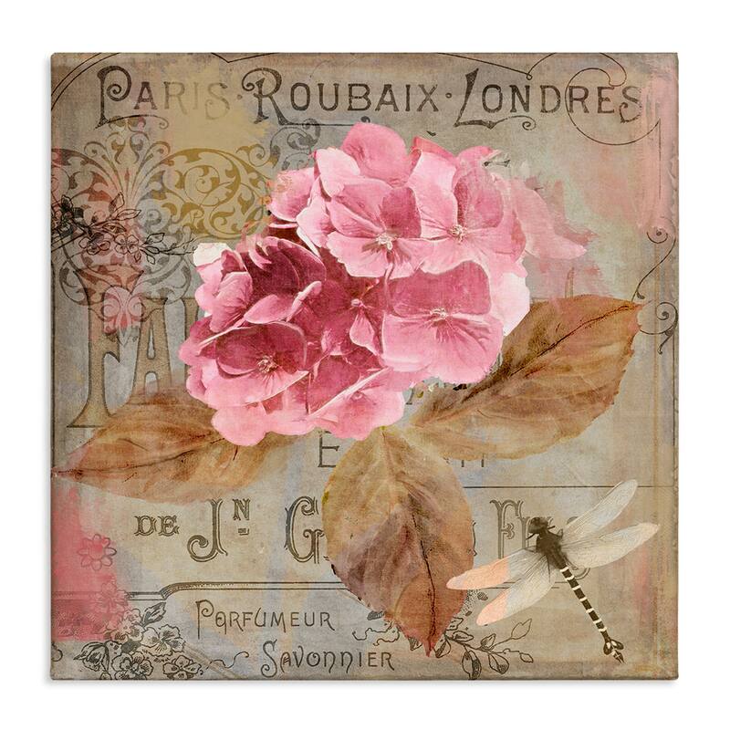 Stupell Vintage French Hydrangea Canvas Wall Art Design By Sasha - 24 x 24