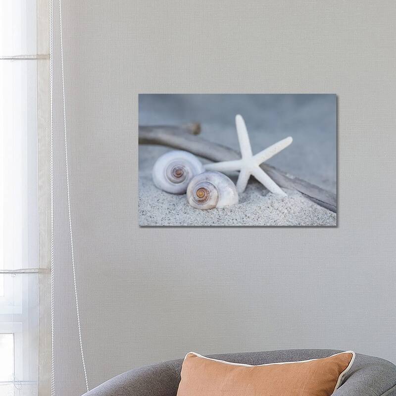 iCanvas "Starfish Beach Still" by Andrea Haase Canvas Print - 18x26x1.5