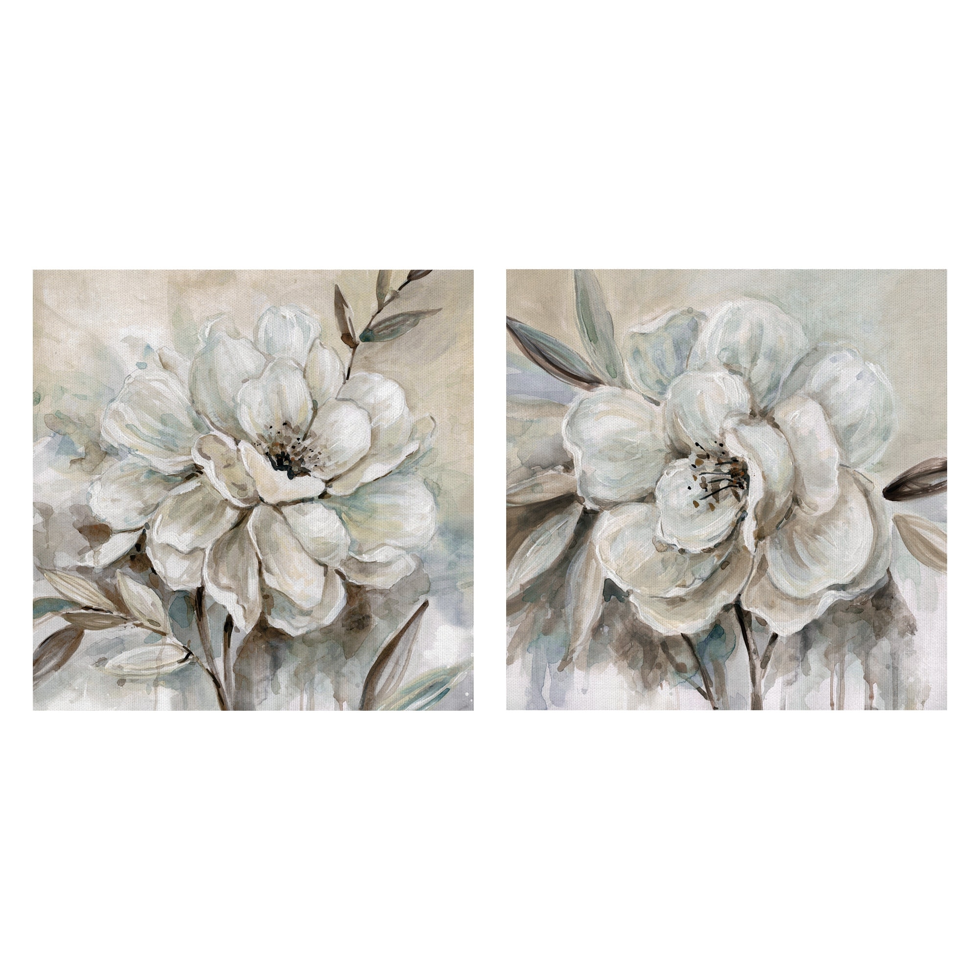 Neutral Bloom I, II by Carol Robinson Canvas Art Prints