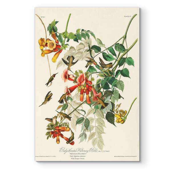 slide 2 of 10, Pl 47 Ruby-throated Hummingbird -Premium Gallery Wrapped Canvas
