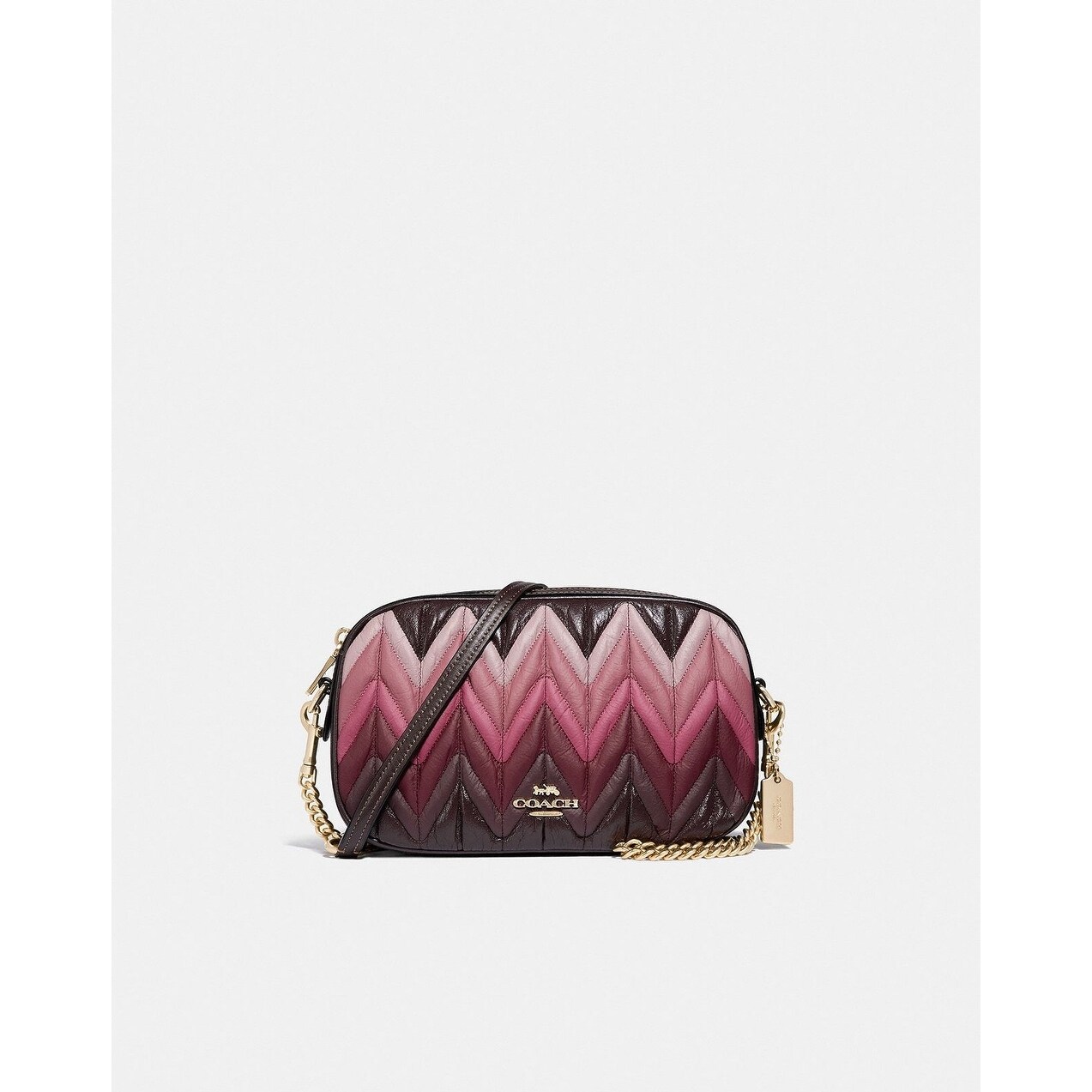 coach ombre bag