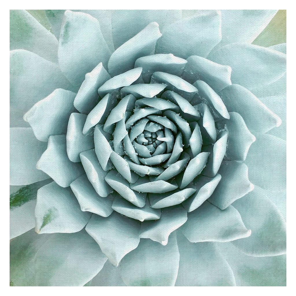 Desert Splendor by Belle Maison Canvas Art Print