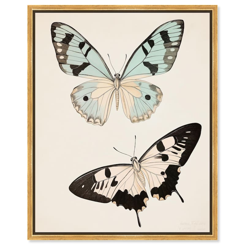 Aniseed Anatomy II Canvas by Art Remedy - Gold - 20" x 24"