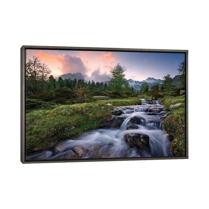 "Wild Paradise" by Stefan Hefele Framed