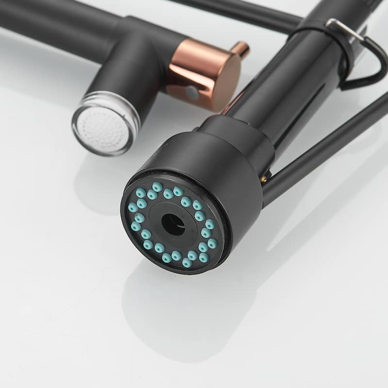 2-Spout Single-Handle Kitchen Faucet with LED Light
