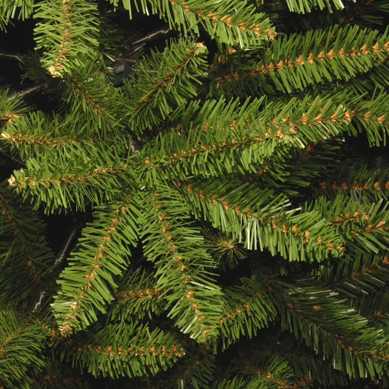 National Tree Company 10 ft. Kingswood Fir Pencil Tree - 10 Foot