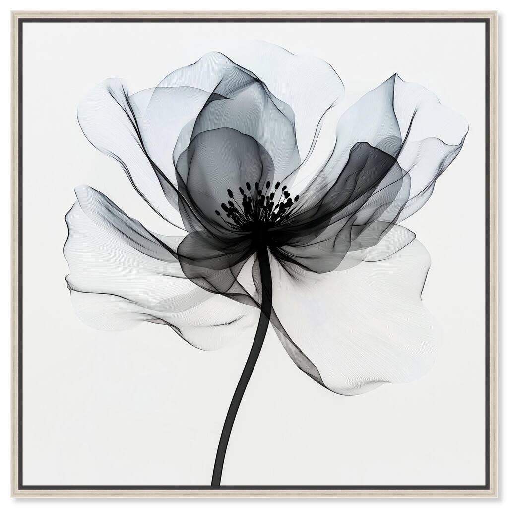 Midania II Canvas by Art Remedy