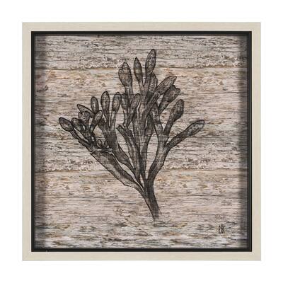 Wood Grain Sea Plant II Framed Art Print