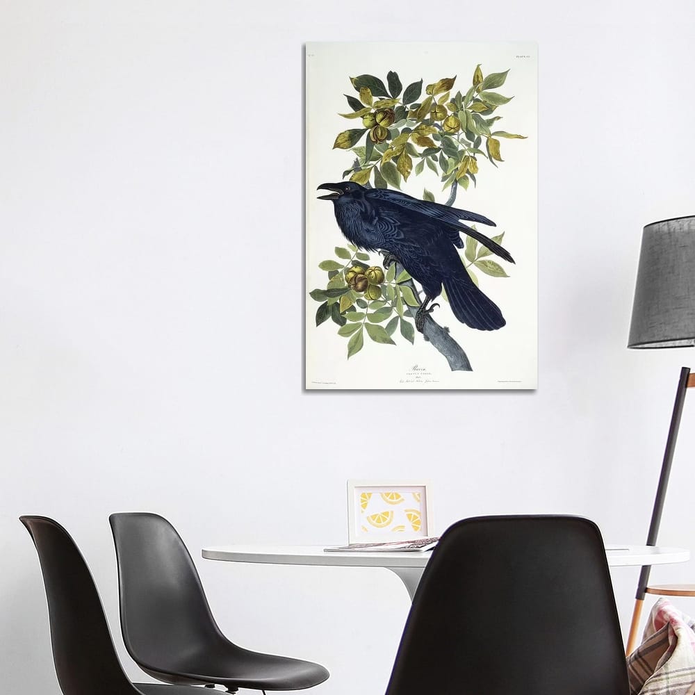 iCanvas "Raven," by John James Audubon Canvas Print
