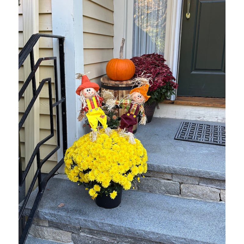 15" Harvest Scarecrow on 9" Pick, Set of 6