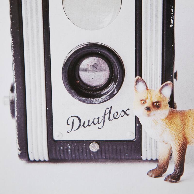 Fox & Vintage Camera Framed Art Print
