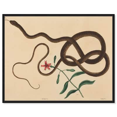 The Coach Whip Snake 1743 Canvas by Art Remedy