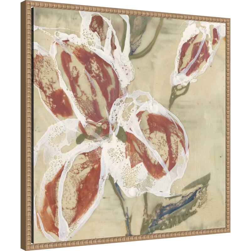 Vintage Botanical Lilys Breath No. 2 Illustration by Jennifer Goldberger Framed Canvas Wall Art Print