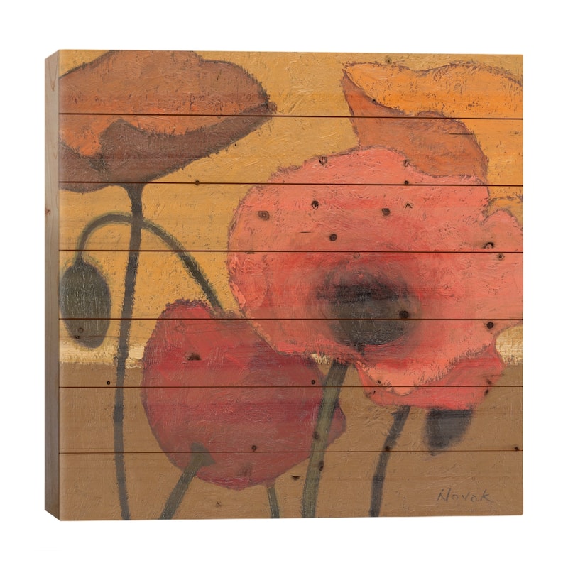 Poppy Curry I Print On Wood by Shirley Novak - Multi-Color - 26x26x1.5