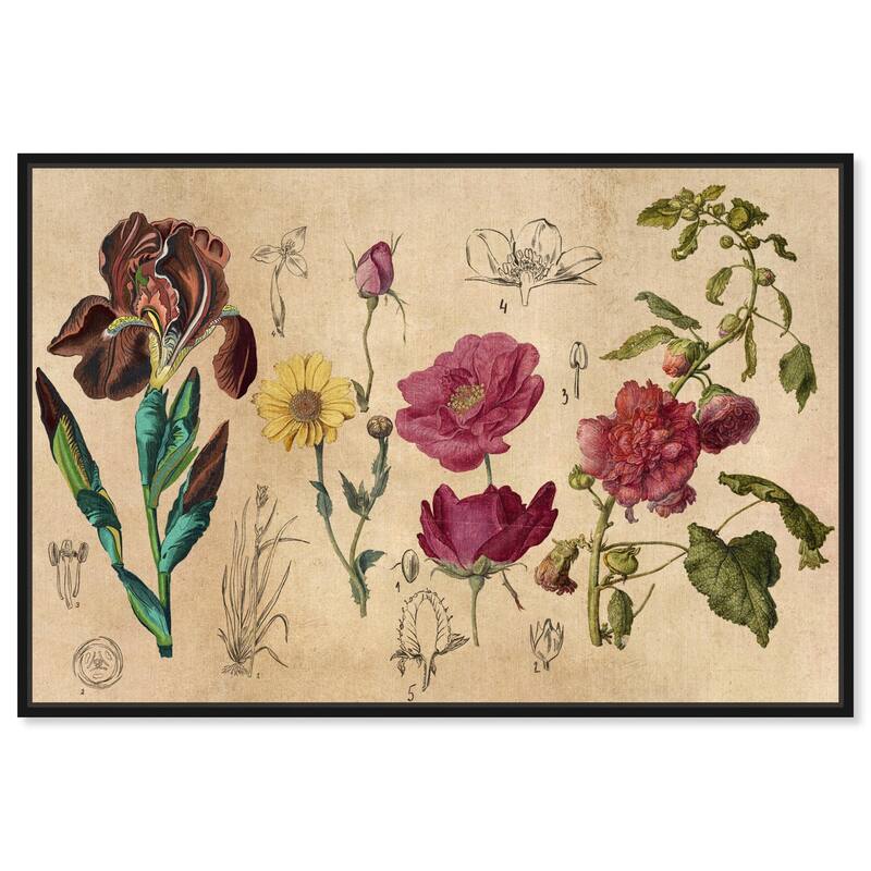 Blossoming Florals Canvas by Art Remedy - Black - 45" x 30"