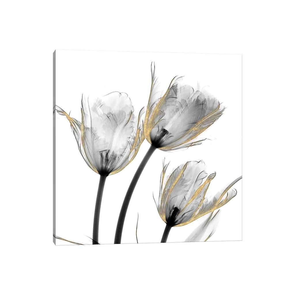 iCanvas "Gold Embellished Tulips II" by Albert Koetsier Canvas Print