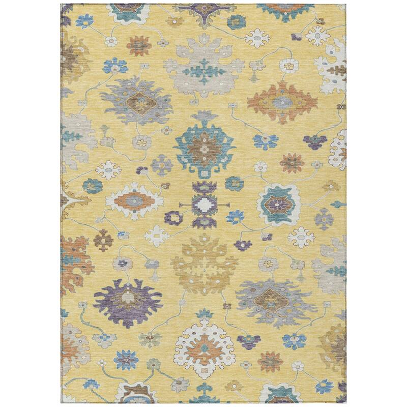 Machine Washable Indoor/ Outdoor Traditonal Delhi Chantille Rug