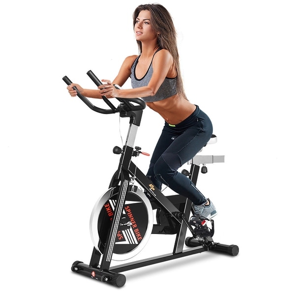 overstock exercise bike