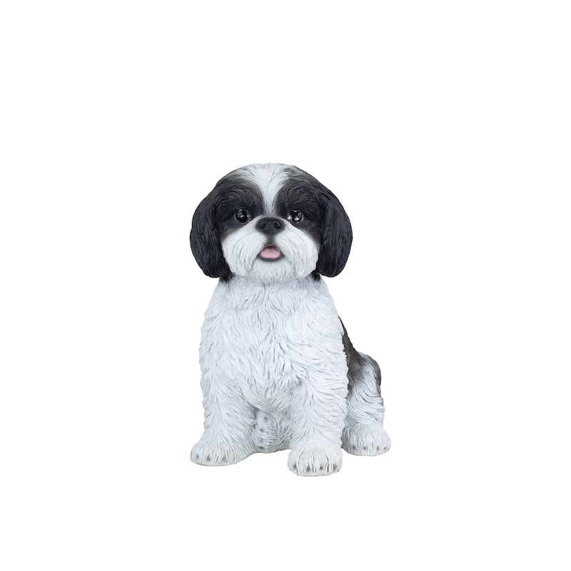 Sitting Baby Shih Tzu Outdoor Garden Statue - 12.5" - White and Black