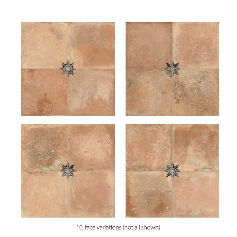 Merola Tile Kings Nonna with Black Star 17-7/8" x 17-7/8" Porcelain Floor and Wall Tile