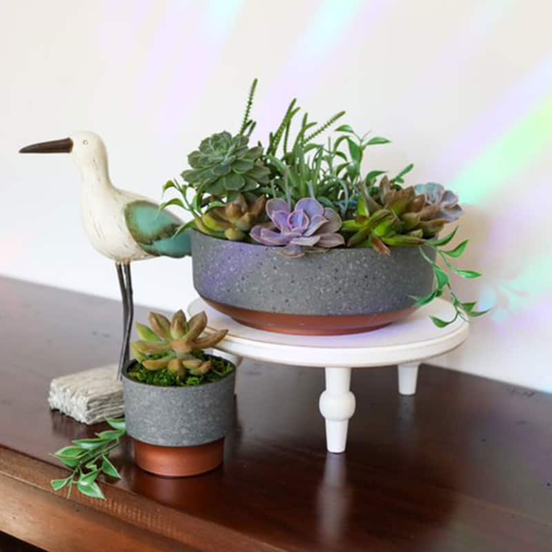 The HC Companies Sprite Succulent Planter Pot, Faux Concrete Copper (20 Pack) - 0.25
