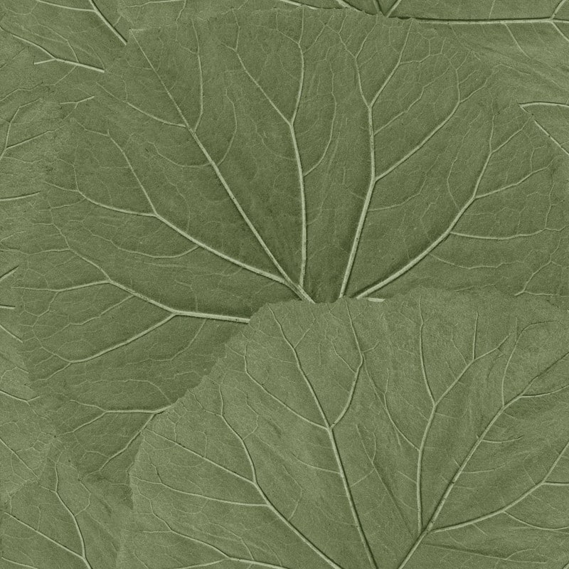 ESTA Home Xylem Olive Large Leaves Wallpaper