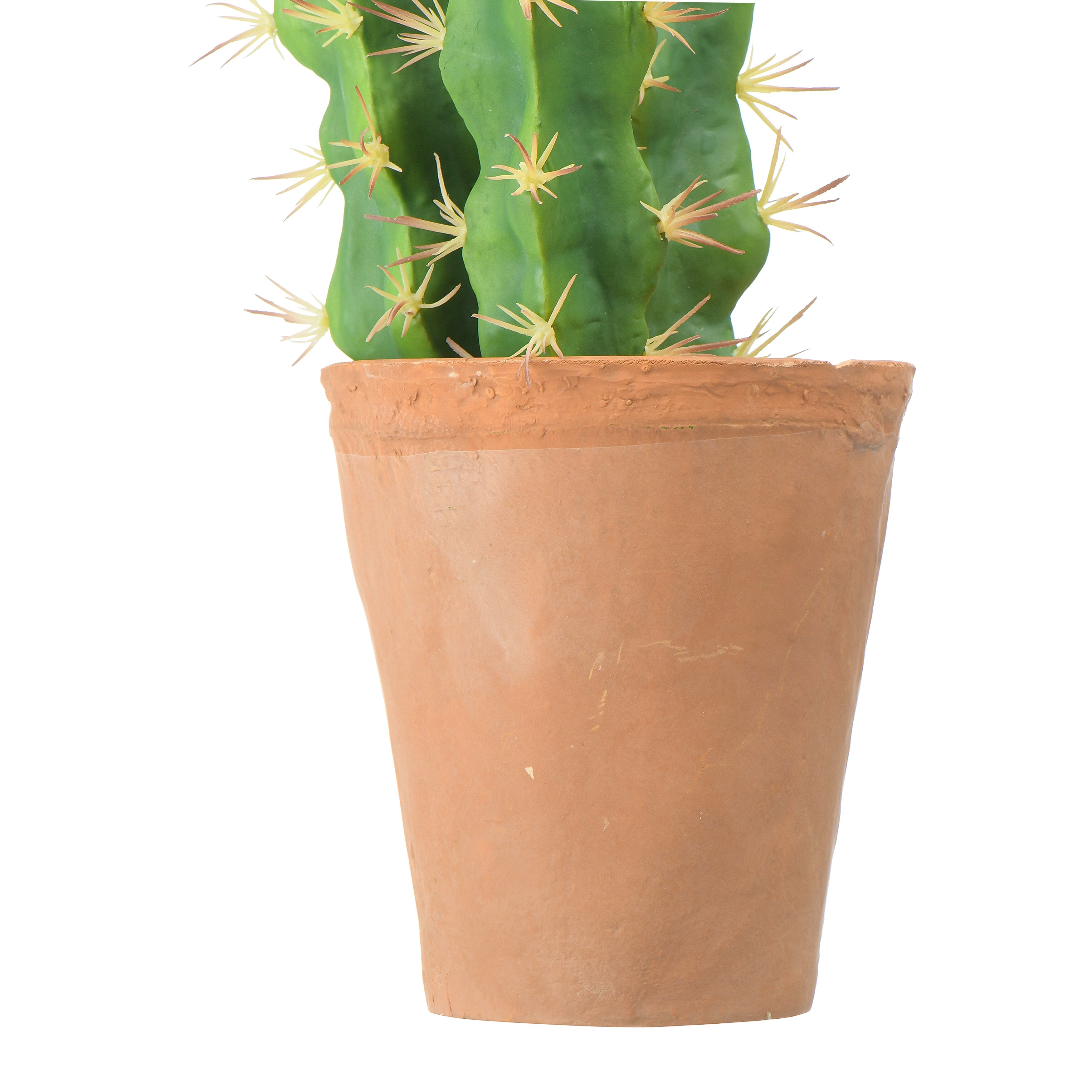 Faux Cactus in Terracotta Colored Pot - Bed Bath & Beyond - 35779631