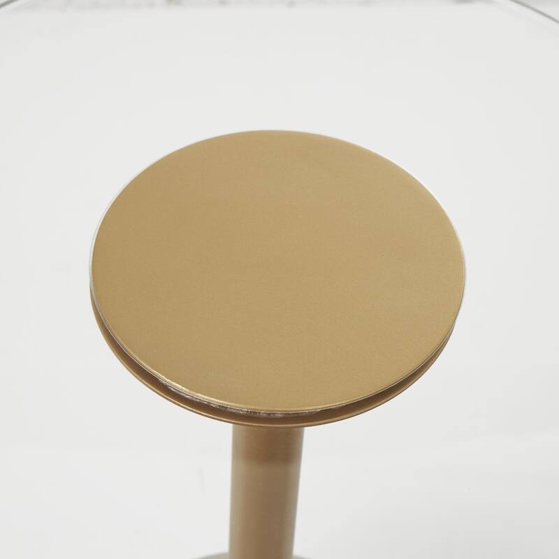 Acrylic Plastic Accent Table with Elevated Base and Gold Stand - Clear - Roche River Decor