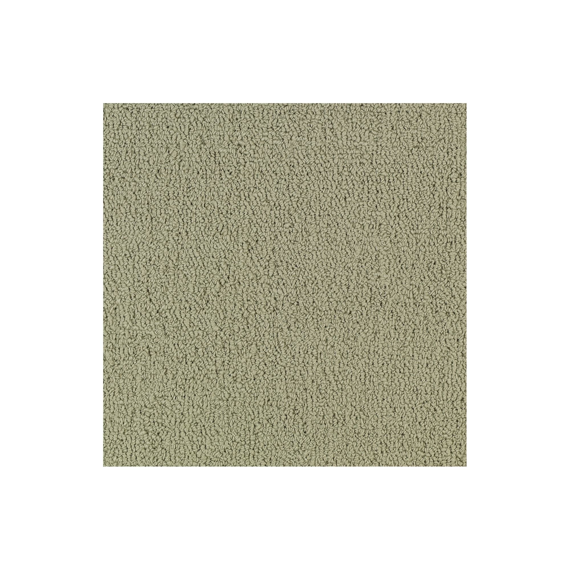 Shaw Philadelphia Commercial Color Accents TL 24" x 24" Glue Down