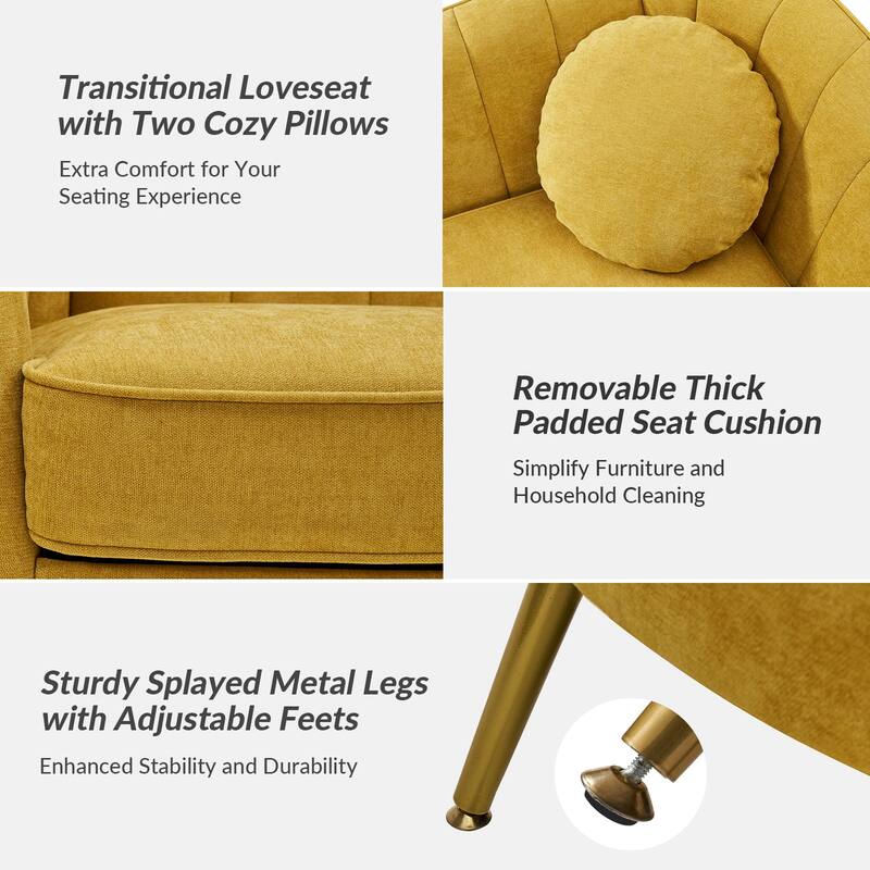 Cecilia 64.6" Wide Loveseat with Removable Cushions