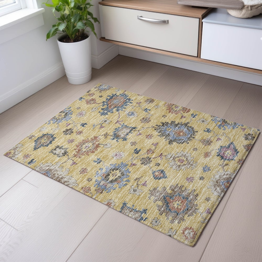 Premium Washable Super Soft Traditiional Spaces Mayfield Rug