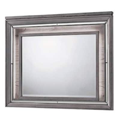 49 Inch Wooden Contemporary Mirror with LED, Light Gray