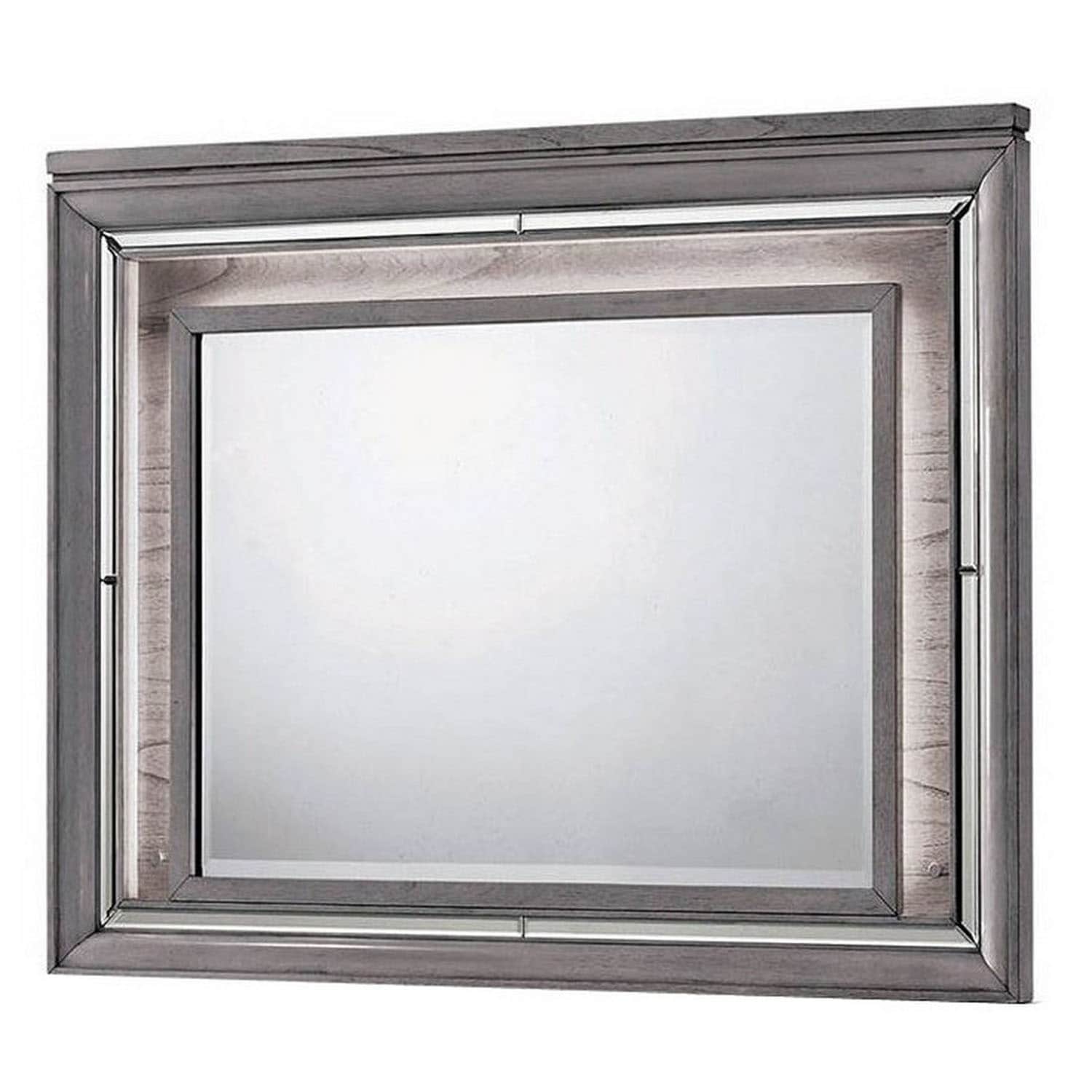 49 Inch Wooden Contemporary Mirror with LED, Light Gray