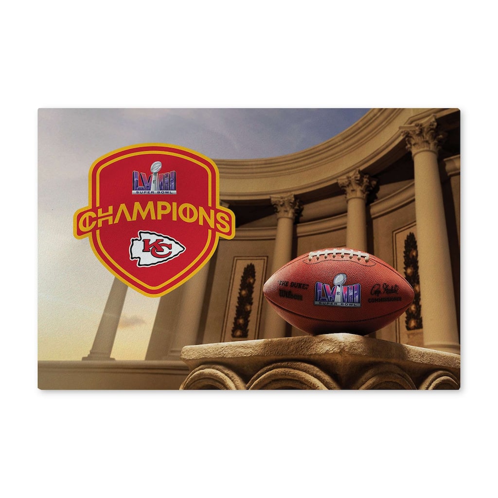 NFL Super Bowl Champs Washable Rug