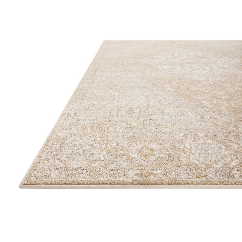 Alexander Home Colette Vintage Shabby Chic Area Rug