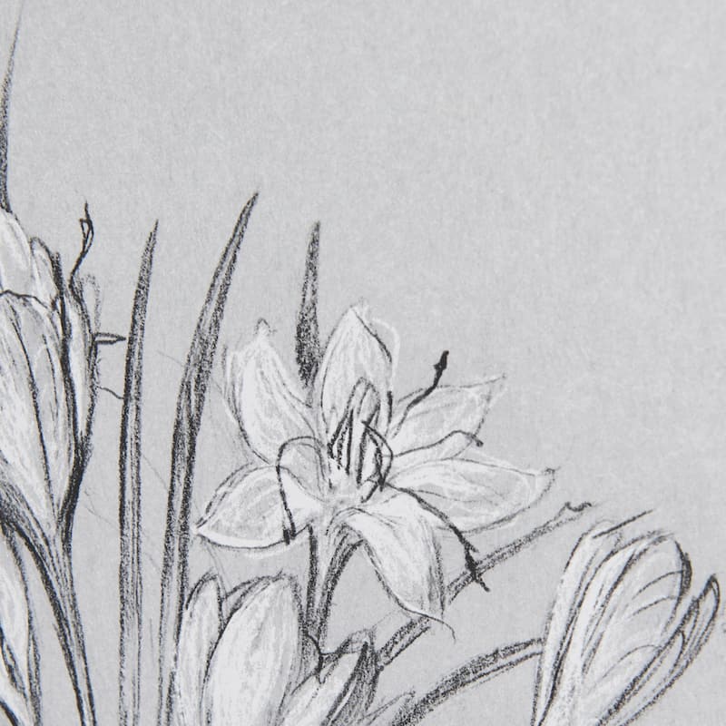 Botanical Sketches V (Grey) Framed Art Print