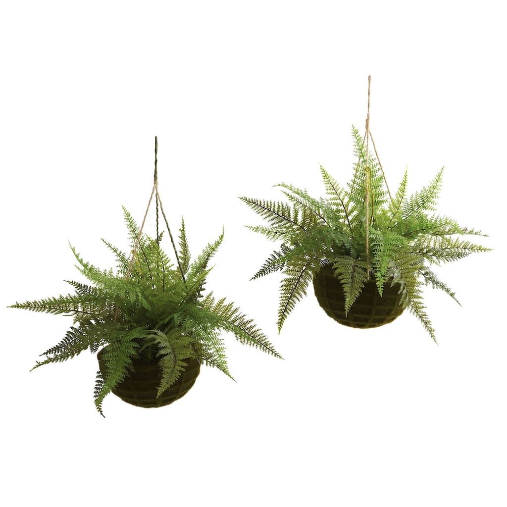 Hanging Fern Plant Set of 2, Moss Basket Decor, 13"H, Indoor Outdoor Greenery, Gothic Glamour Home Decor - 1.08ft.
